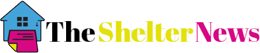 Theshelternews