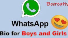 WhatsApp Bio Status